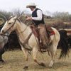 a working wade saddle, 3/8ths tooled with a classic medium Sheridan style flower.